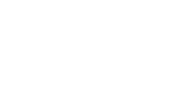 [Image: wps_LOGO_20241208150052.webp]